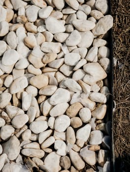 white pebbles - as an element of the improvement of the park. greening of cities