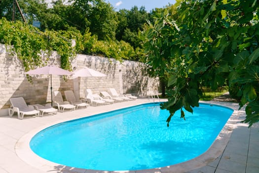 Swimming pool among green trees in the yard. High quality photo