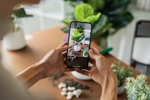 woman hold mobile and take picture of newly plant tree. eco friendly home.