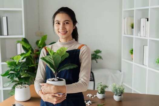 Portrait of a smiling young woman holding potted plant in the house and taking care of the greenery of the house.