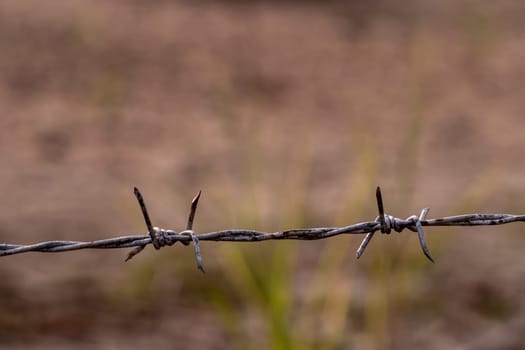 Rusty barbed wire fences are sharp and aggressive