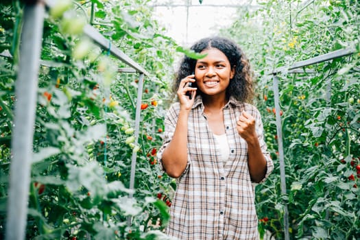 Greenhouse farmer, smiling and wearing a hat, communicates on the phone while holding ripe tomatoes. Modern technology enhances business connections, fostering growth and happiness in the community.