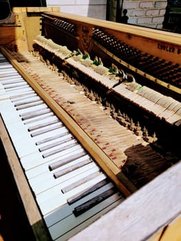 High-angle view of a detailed upright piano interior in a cozy setting, showcasing the craftsmanship of music in Bloomington, Indiana.