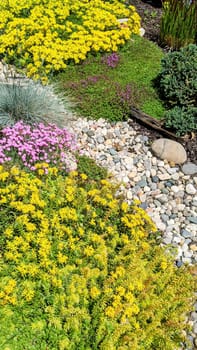 Vibrant Spring Garden in Full Bloom, Fort Wayne, Indiana, 2021 - Yellow and Pink Flowers amid Lush Greenery