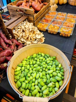 Vibrant display of fresh organic produce at a 2022 farmers market in Hyde Park, New York, featuring a basket of green gourds, oyster mushrooms, and cherry tomatoes.