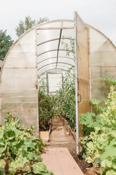 Large greenhouses for growing homemade vegetables. The concept of gardening and life in the country