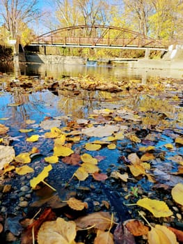 Serene autumn scene in Fort Wayne, Indiana, featuring vibrant fallen leaves on a reflective river, with a rustic bridge in the distance under a clear blue sky.