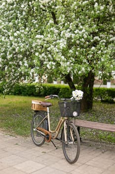 A beautiful retro bike with a wicker basket stands next to a blooming apple tree in the park