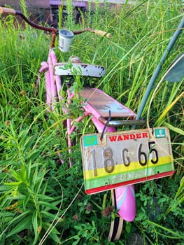 Abandoned pink bicycle overtaken by lush nature in Muncie, Indiana, evoking themes of nostalgia and nature's resilience