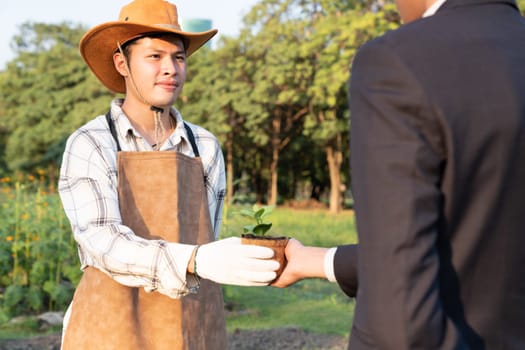 Eco-business company empower farmer with eco-friendly farming practice and clean agricultural technology. Cultivate sustainable future nurturing plants to grow and thrive. Gyre