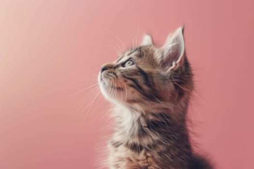 A kitten is looking up at the camera with its eyes wide open. Generative AI.