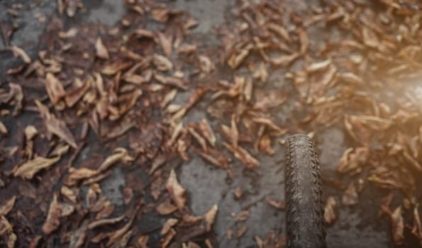 front wheel of a mountain bike. Mountain bike. stands in the forest, in dry autumn leaves. concept of cycling. copy space