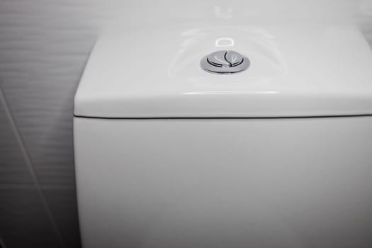 flushing toilet button of toilet WC. two separate buttons