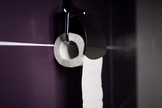  Roll of toilet paper hanging on silver holder