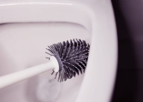 cleaning the toilet with a brush. no bacteria