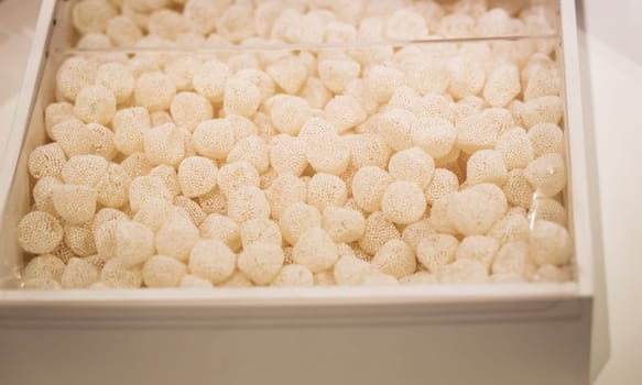 sweet treat. candy in the form of berries