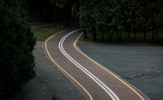 winding bike path through a park with trees. eco environment