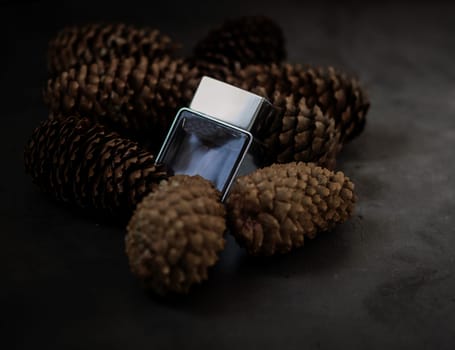 eco perfume. men's perfume on the background of cones. the concept of ecology