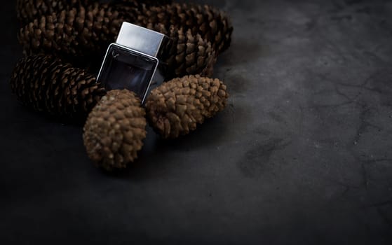 eco fragrance. men's or women's perfume bottle on the background of cones. the concept of ecology