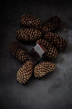 Transparent bottle of perfume on a background of pine cone. Trending concept in natural materials. Women's and men's essence. Natural cosmetic