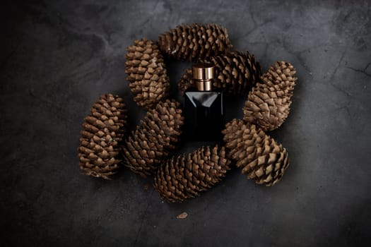 Bottle of perfume on a background of forest cones. Trending concept in natural materials. men's essence. Natural cosmetic