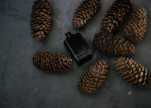 the fresh scent of the forest. perfume bottle on the background of pine cones
