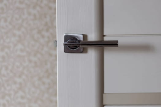 interior door, door handle. modern style 