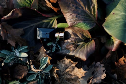 natural cosmetics. blue perfume bottle on the background of green foliage