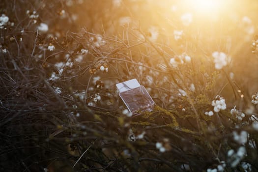 Transparent bottle of perfume on nature. Trending concept in natural materials. Women's and men's essence. Natural cosmetic