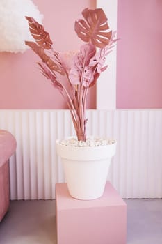 Decorative palm in interior of room. Colorful interior