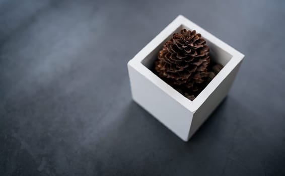 Winter cone in white cube vase. Simple decor for home
