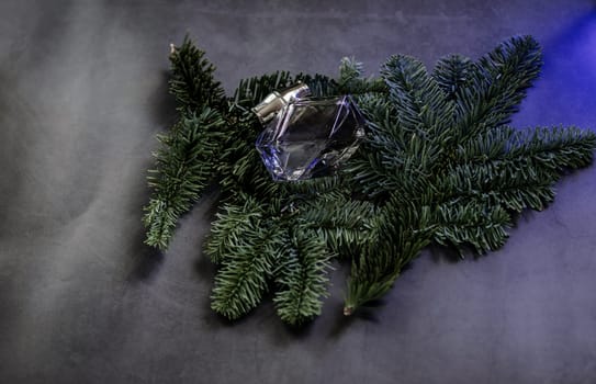 top view of crystal female bottle of perfume with fir branch