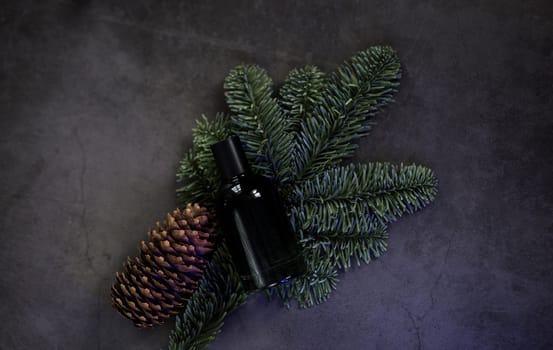top view of black bottle of perfume with fir branch