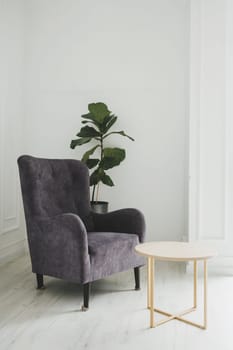 Modern armchair against white wall in living room interior with plants