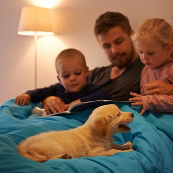 Night, books or father with kids in bed for reading, learning and bonding with dog at home Love, family and dad with children in bedroom for storytelling, fantasy or literature for teaching pet care.