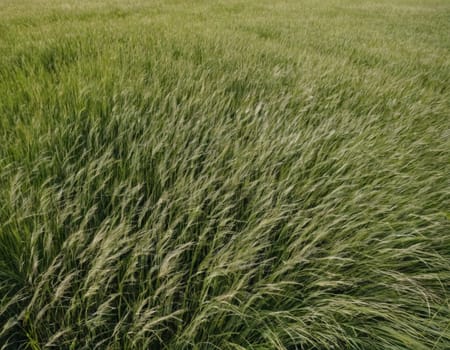 A field of tall grass with a few weeds in it, AI generation