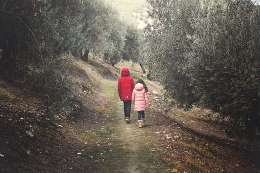 Rear view of two kids in warm winter clothes walking along the olive trees lined forest path in the mountain valley, surrounded by the tranquility of nature. Toned photography