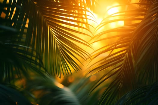 Vibrant sunny backdrop palm leaves with golden sun light. Neural network generated in January 2024. Not based on any actual scene or pattern.