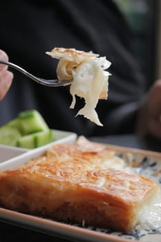 Traditional Turkish Cuisine Pastries borek on a plate ,