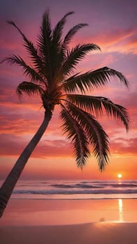 Silhouette of coconut palm tree on the beach at sunset.Palm trees on the beach at sunset. Beautiful tropical landscape.