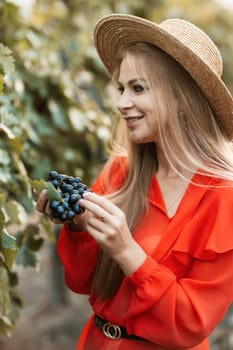 portrait of a happy woman in the summer vineyards at sunset. woman in a hat and smiling