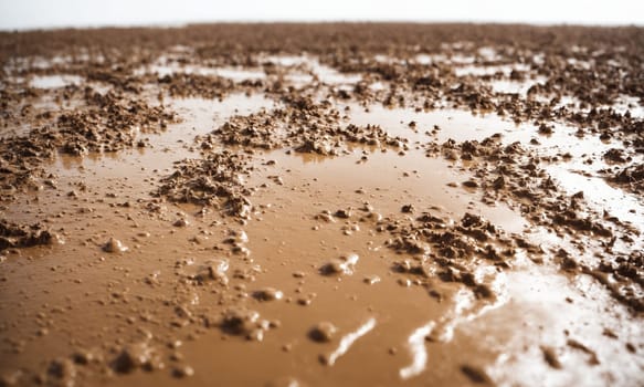Close-up of mud after rains