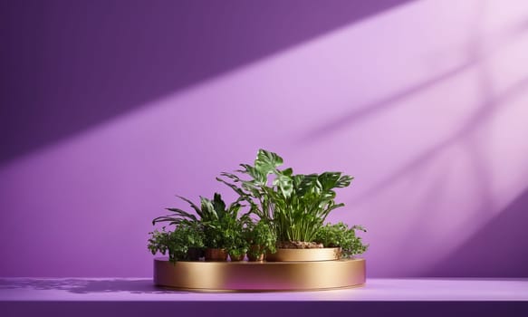 Unoccupied podium for product display with plants and shadows on purple background.