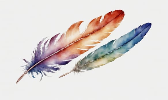 Watercolor feathers isolated on white background. Hand-drawn illustration