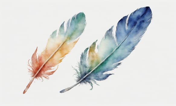 Watercolor feathers isolated on white background. Hand-drawn illustration