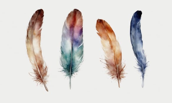 Watercolor feather isolated on white background. Hand-drawn illustration