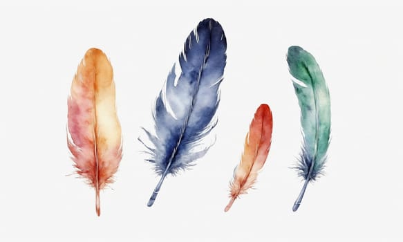 Watercolor feathers isolated on white background. Hand-drawn illustration