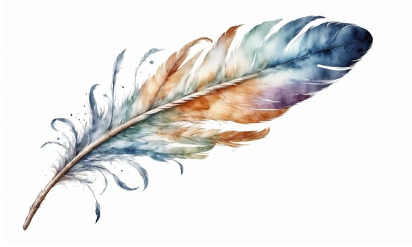 Watercolor feather isolated on white background. Hand-drawn illustration