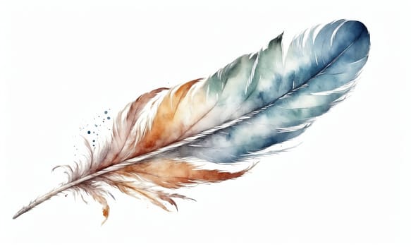 Watercolor feather isolated on white background. Hand-drawn illustration