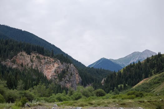the landscape of the area at the green foot of the mountains in summer.